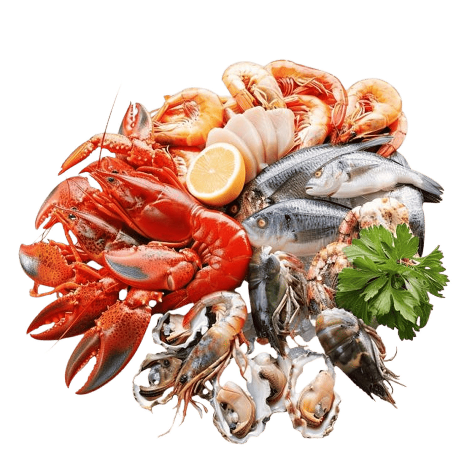 SEA FOOD Premium